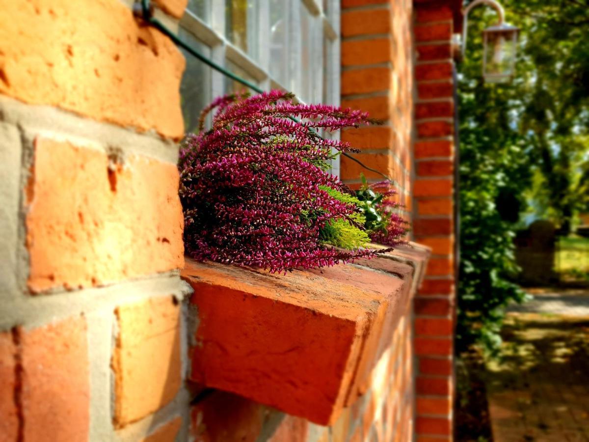 Schmiede1860 Bed and Breakfast Gross Dratow Buitenkant foto